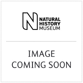 Safari A Photicular Book Natural History Museum Online Shop