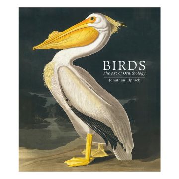 Birds: The Art of Ornithology front cover of an American white pelican