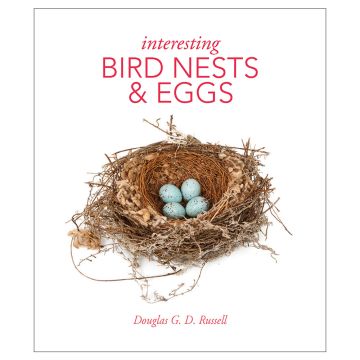 Interesting Bird Nests & Eggs front cover of a nest with four blue eggs in.