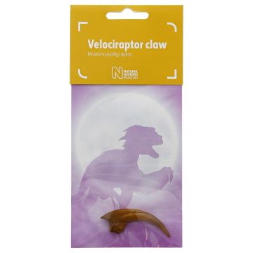 Replica Velociraptor Claw