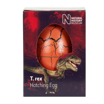 T. rex Hatching Egg in a Box