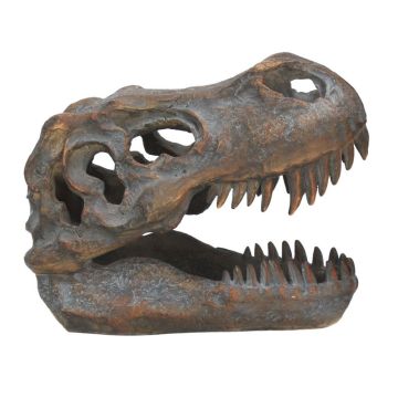 Side profile (facing to the right) of the T. rex Small Replica Skull showing its jaw, teeth and eye socket.