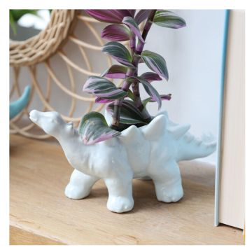 Stegosaurus Plant Pot with a plant growing out of it, styled on a wooden shelf, next to a mirror. The plant has purple-green leaves.