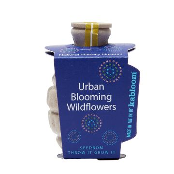 Urban Blooming Wildflowers Seedbom in its purple packaging.