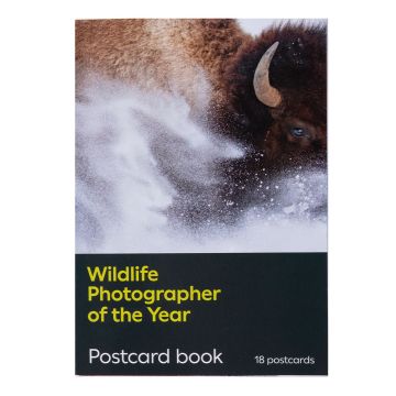 Postcard Book: Wildlife Photographer of the Year 59 front cover