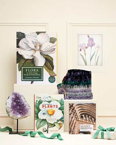 Three books are styled standing up with two mineral pieces against a cream background with an illustration of irises. There are green ribbons in the foreground.