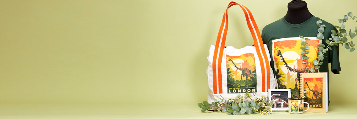 The cream and orange tote bag, bottle-green adult t-shirt (on a mannequin torso), notebook, enamel mug and Biscuiteers chocolate biscuit, all featuring Fern the Diplodocus. The items are from the Museum Gardens range and displayed against a green background.
