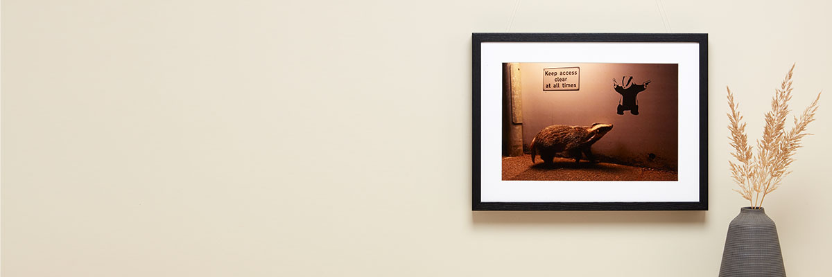  A black framed, landscape colour photograph of a badger moving past graffitied image of a badger from our Wildlife Photographer of the Year People’s Choice category. It is displayed on a cream wall.
