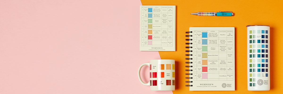 A mug, notebook, notepad, pen and drinks bottle displayed to show their design, which is a colour chart with swatches and descriptions. They are displayed on a rectangle of colour, separated by a diagonal line. To the left of the line is pale pink, to the right is orange.
